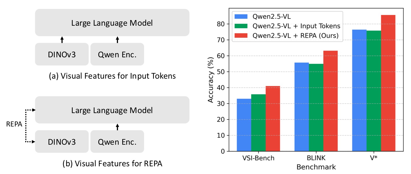 REPA vs Input Tokens